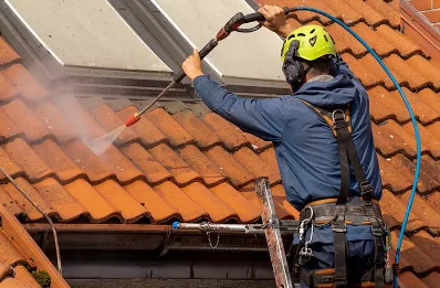 Démoussage et hydrofuge de toiture à Saint-Léger-du-Gennetey